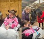 Ruby's Visit to the Stables